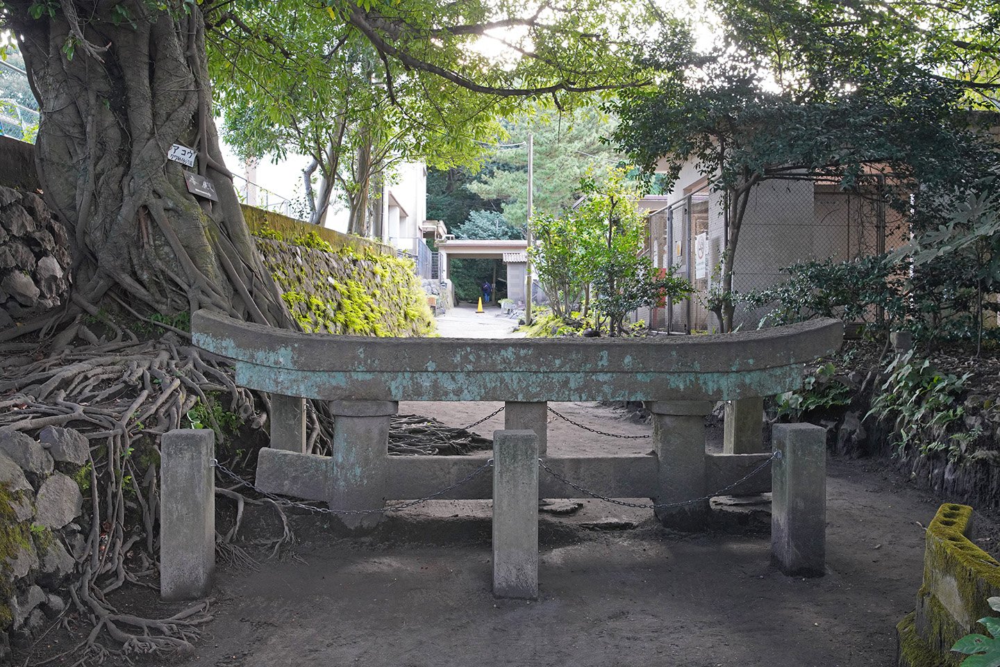 ⛩️ 검은 신 매몰 도리이(쿠로카미 마이보츠 토리이) 이미지 4